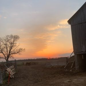 Meet your Posher, Katelyn